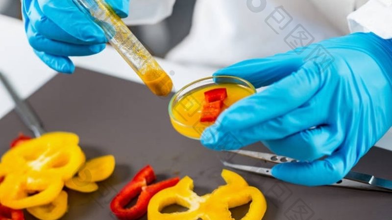 米面制品出口报关合同：合规之路的指南针**